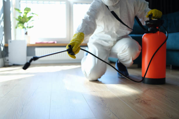 Reliable Blood Cleanup contractor in Springville, CA by Crime Scene Cleaner Online